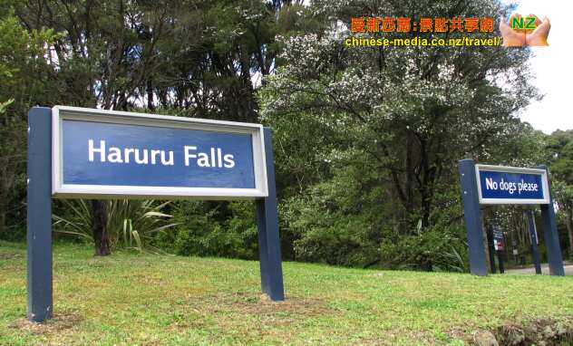 Paihia Haruru Falls 哈魯魯瀑布 簽約屋