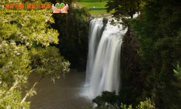 Whangarei Falls 方加雷新西蘭最上鏡瀑布