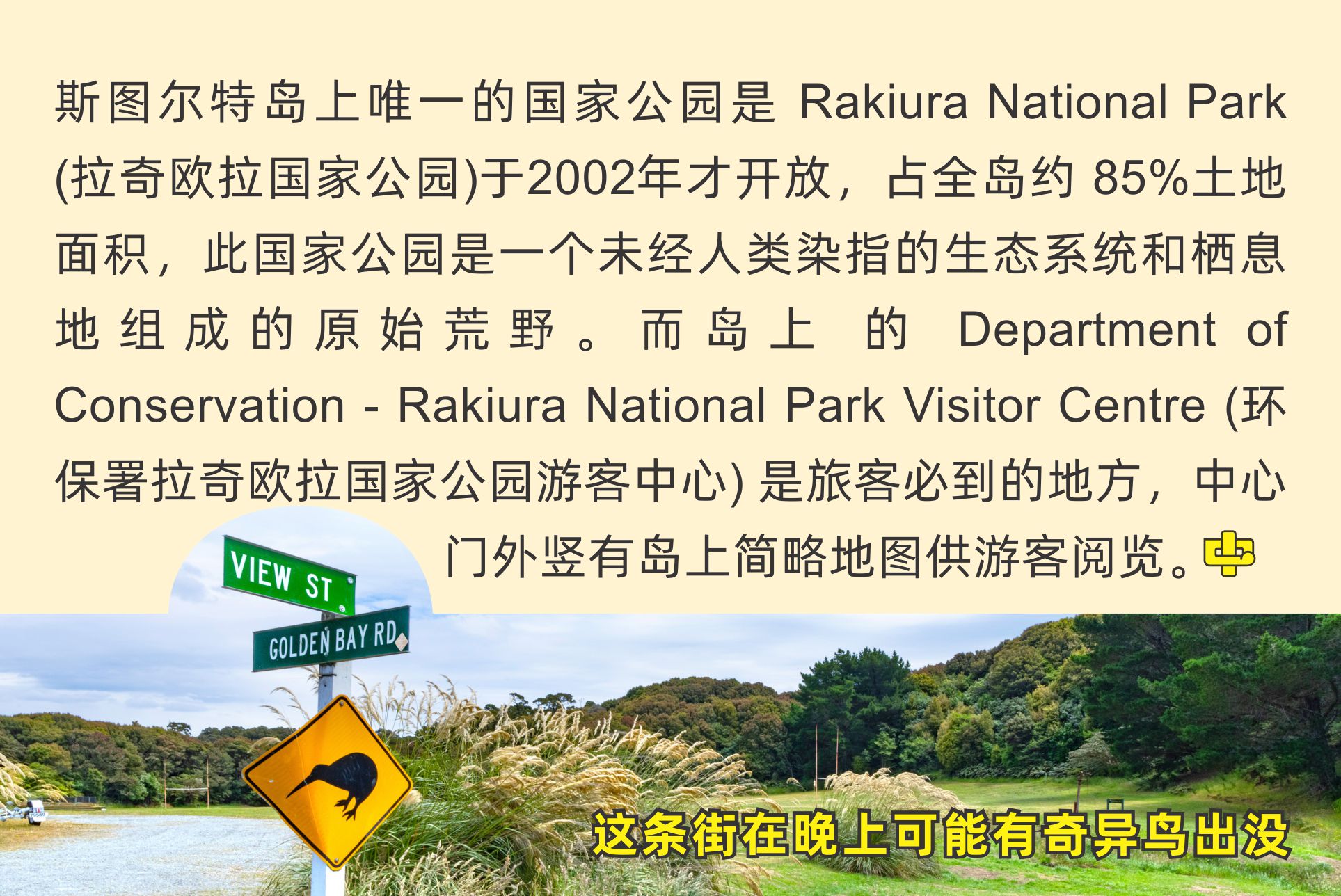 Stewart Island 斯图尔特岛 oban 斯圖爾特島 中文一族傳媒新西蘭旅遊景點