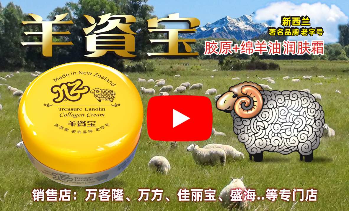 中文一族房产经纪网