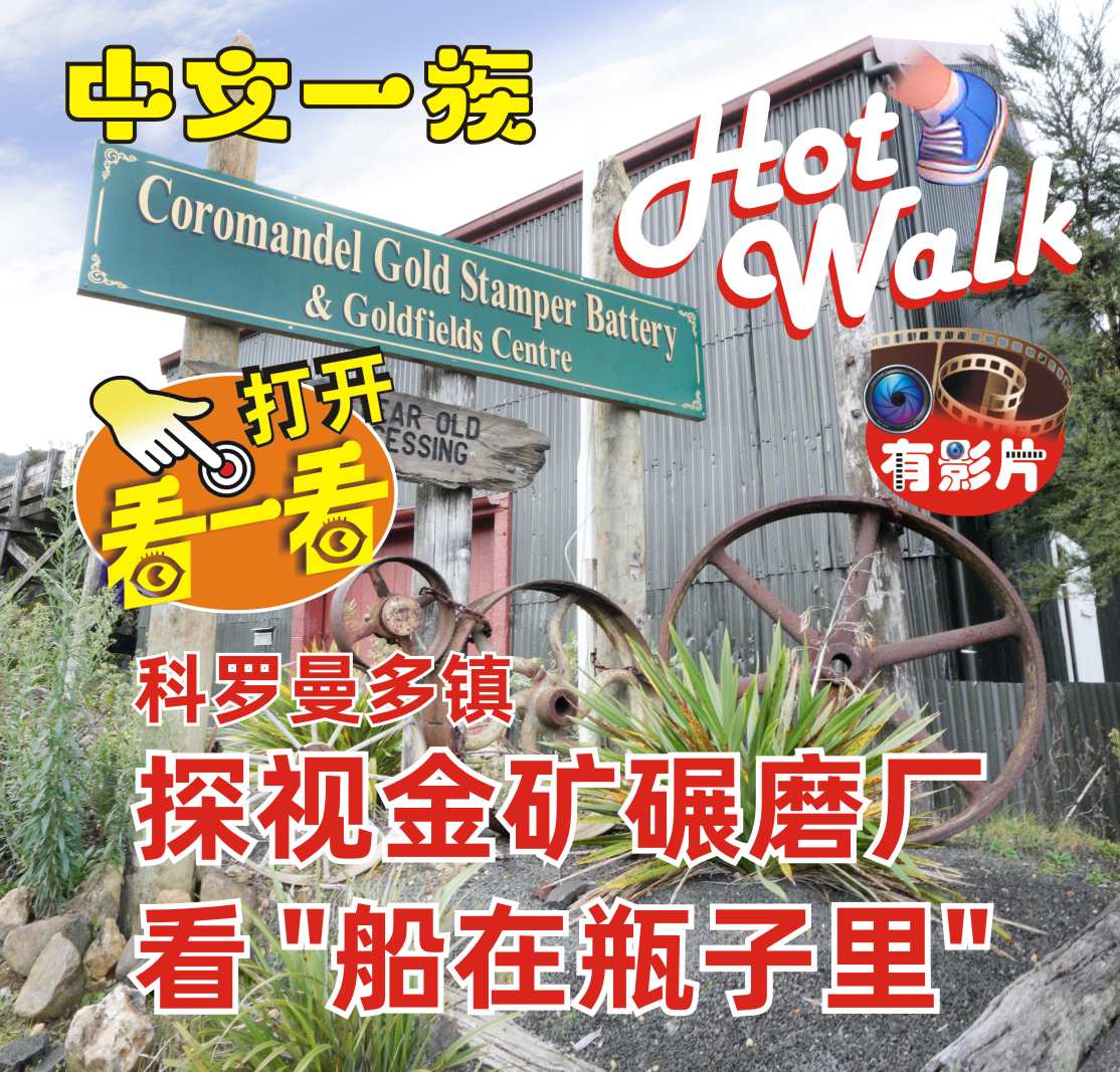 中文一族探索新西兰旅游