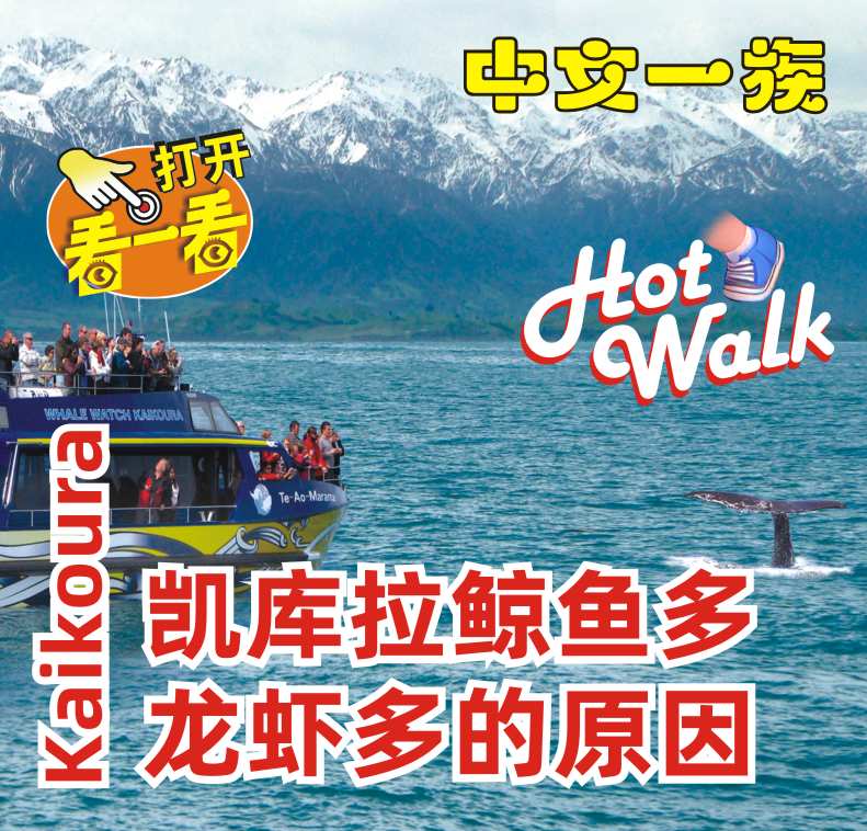 中文一族探索新西兰旅游