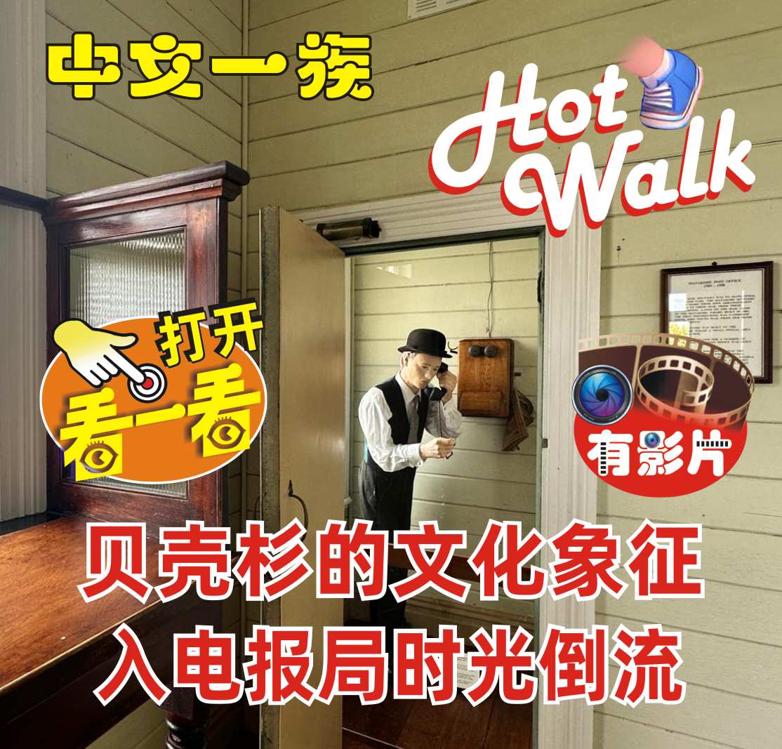 中文一族探索新西兰旅游