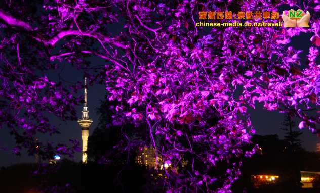 愛新西蘭景點共享網 NZ Attractions Shared