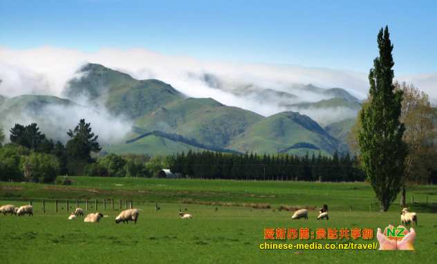 愛新西蘭景點共享網 NZ Attractions Shared