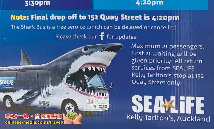 Auckland Kelly Tarlton's Aquarium 凱莉塔頓水族館 企鵝