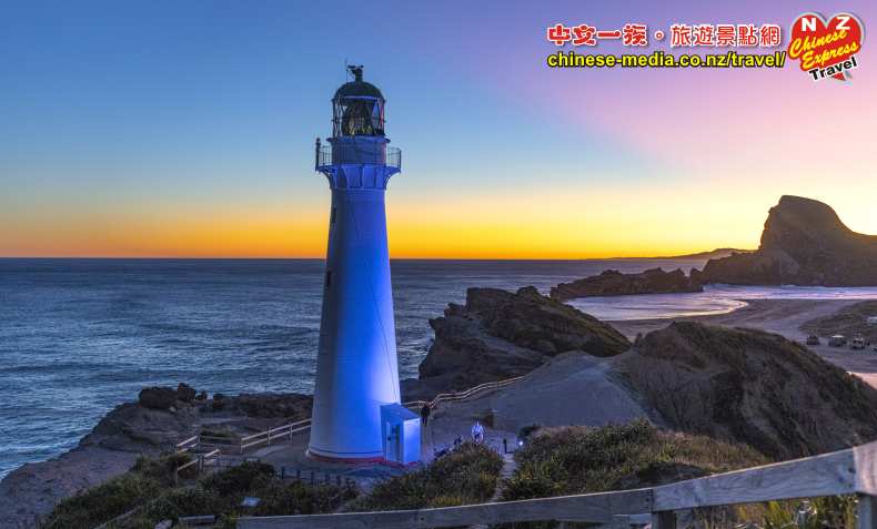 castlepoint lighthouse 北島最高的城堡角燈塔