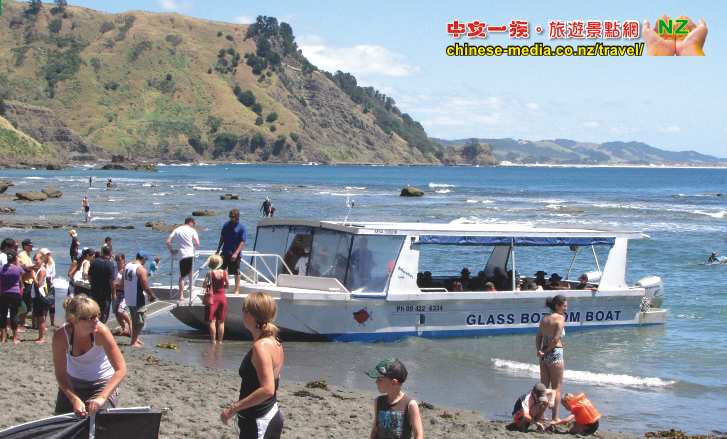 Goat lsland 山羊島 Glass Bottom Boat 玻璃船 Warkwoth  浮潛