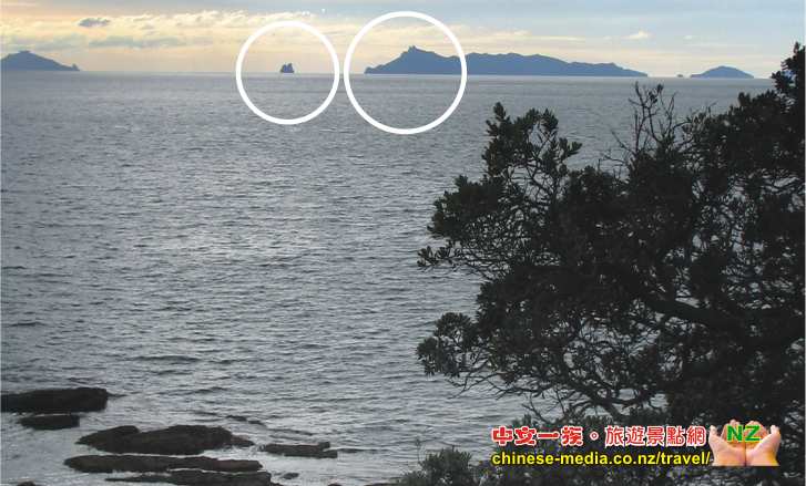 Goat lsland 山羊島 Glass Bottom Boat 玻璃船 Warkwoth  浮潛