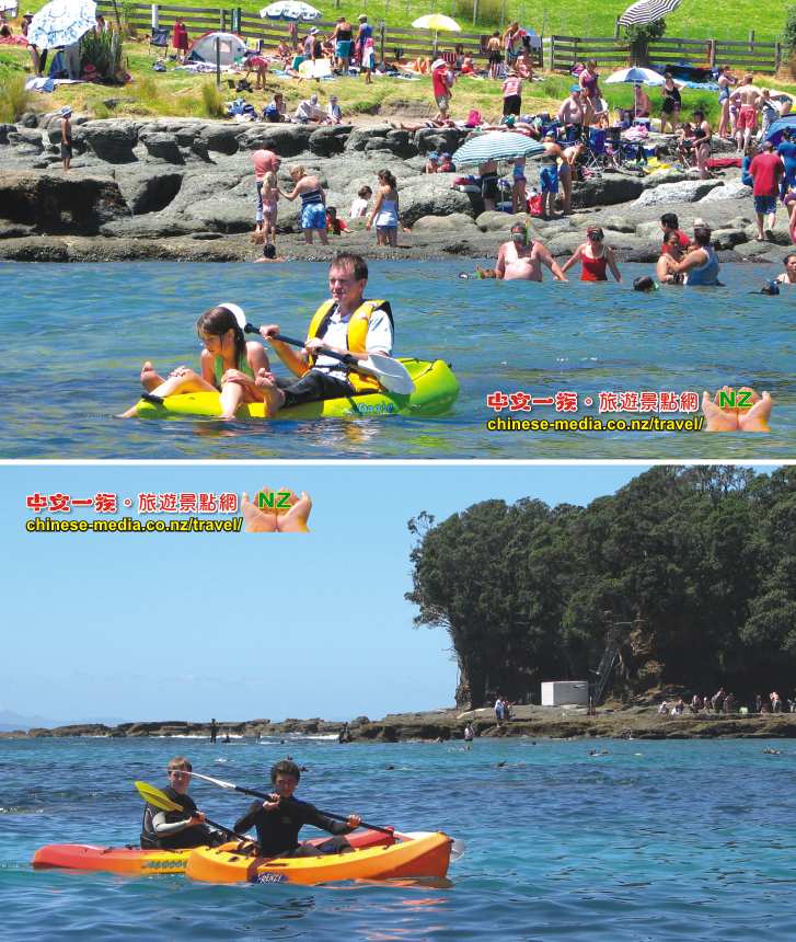 Goat lsland 山羊島 Glass Bottom Boat 玻璃船 Warkwoth  浮潛