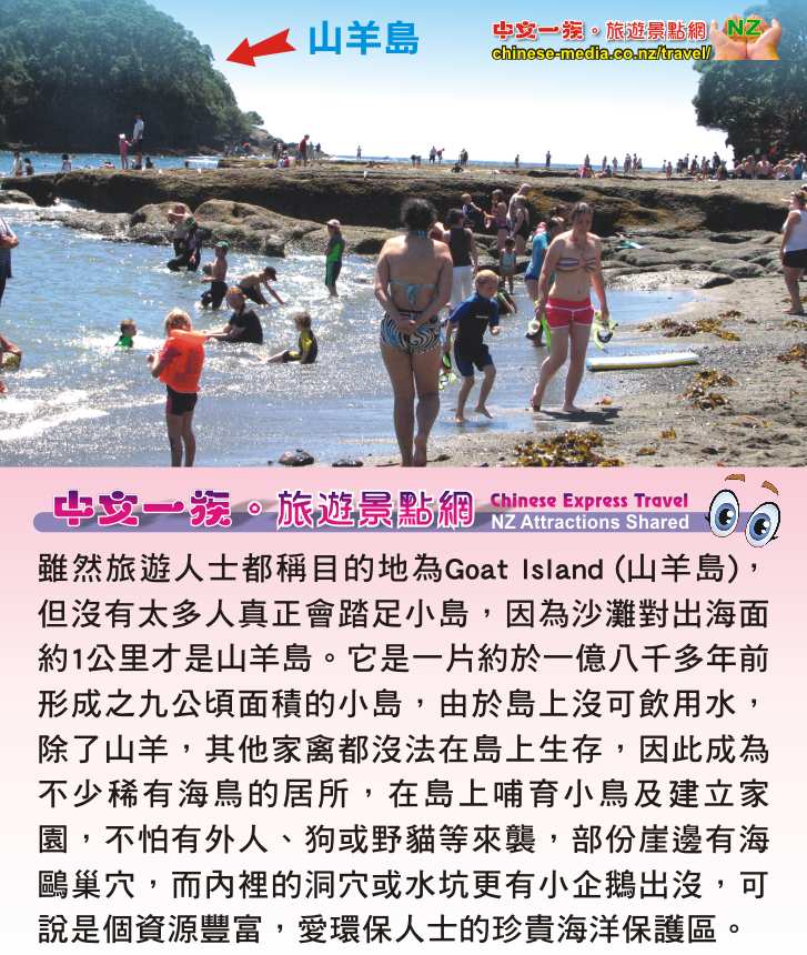Goat lsland 山羊島 Glass Bottom Boat 玻璃船 Warkwoth  浮潛