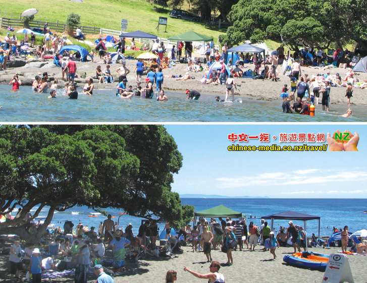 Goat lsland 山羊島 Glass Bottom Boat 玻璃船 Warkwoth  浮潛