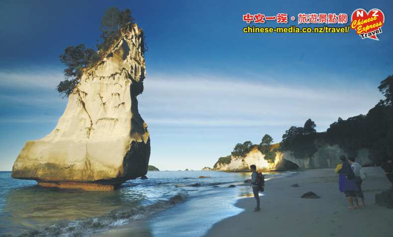 Hahei Cathedral Cove 教堂灣
