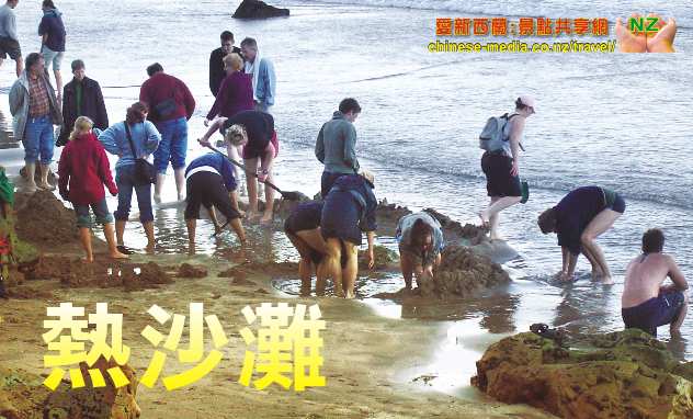 Hahei Hot Water Beach  熱沙灘