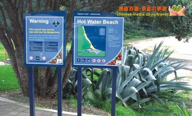 Hahei Hot Water Beach  熱沙灘
