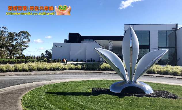Hamilton, 烏龍茶 Zealong Tea Estate 璽龍茶園