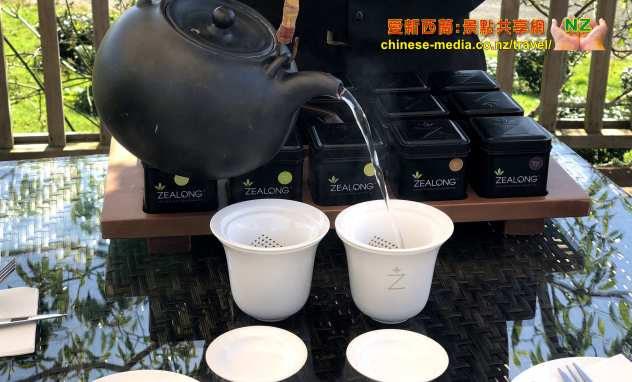 Hamilton, 烏龍茶 Zealong Tea Estate 璽龍茶園