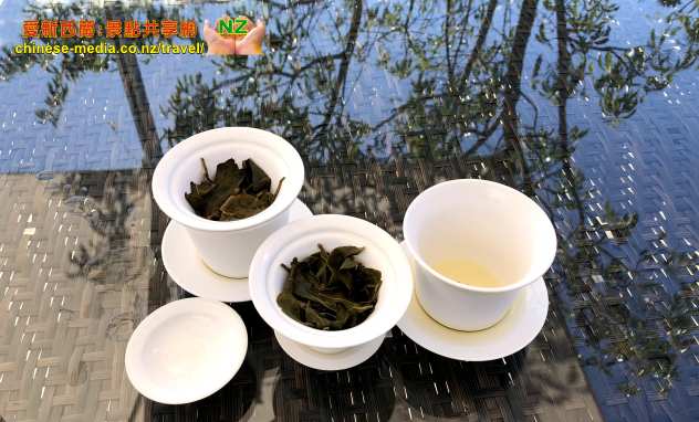 Hamilton, 烏龍茶 Zealong Tea Estate 璽龍茶園