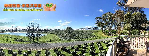 Hamilton, 烏龍茶 Zealong Tea Estate 璽龍茶園