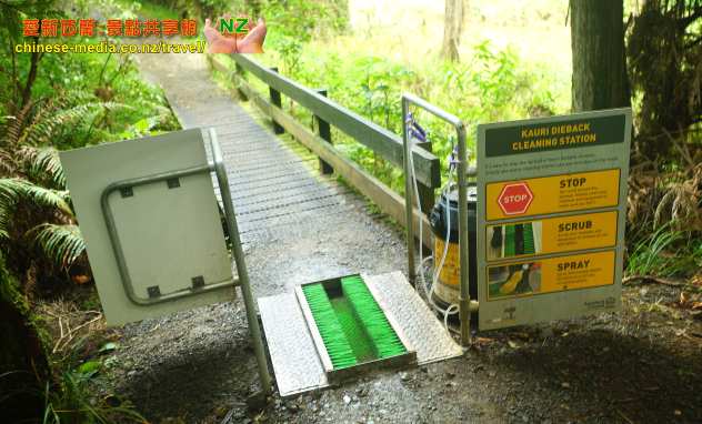 Hunua Falls 胡努瓦瀑布