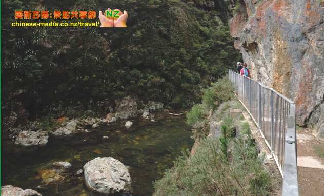 Karangahake Gorge 卡朗加哈科峽谷吊橋步道