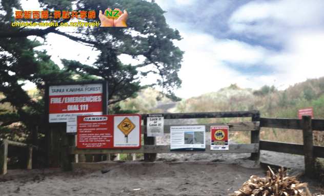 Kawhia Hot Water Beach, Te Puia Springs  卡菲亞熱沙灘