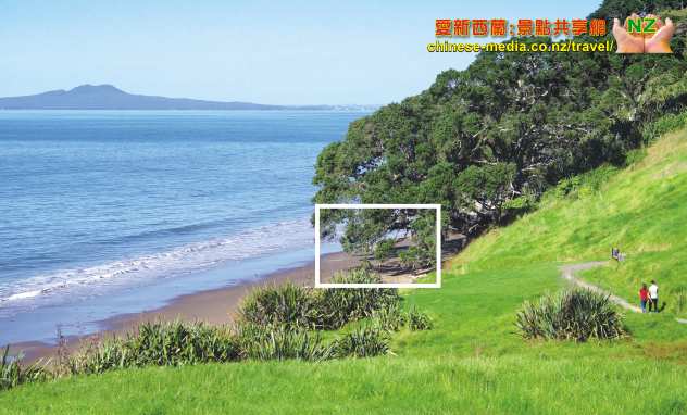 Pohutukawa Bay 天體海灘 Long Bay Beach Regional Park 長灣地區公園步道 沙灘