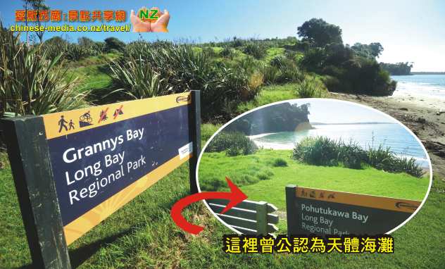 Pohutukawa Bay 天體海灘 Long Bay Beach Regional Park 長灣地區公園步道 沙灘