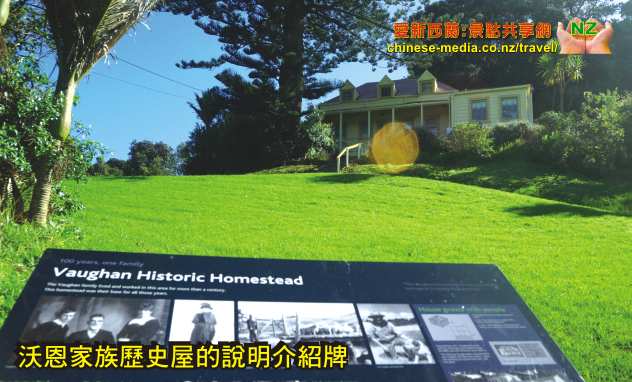 Pohutukawa Bay 天體海灘 Long Bay Beach Regional Park 長灣地區公園步道 沙灘