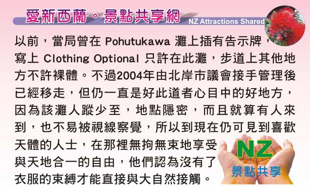 Pohutukawa Bay 天體海灘 Long Bay Beach Regional Park 長灣地區公園步道 沙灘