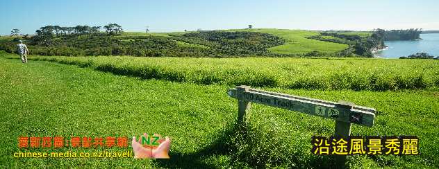 Pohutukawa Bay 天體海灘 Long Bay Beach Regional Park 長灣地區公園步道 沙灘