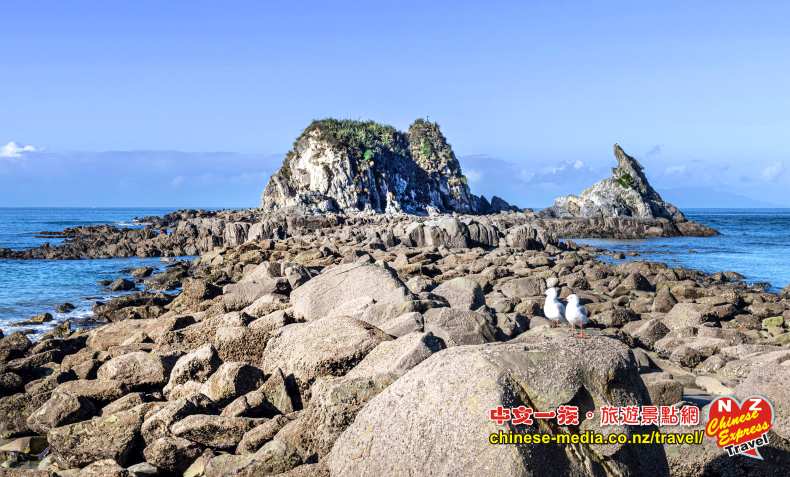 Mangawhai Heads Beach 芒格懷角海灘 Sentinel Rock 哨兵岩