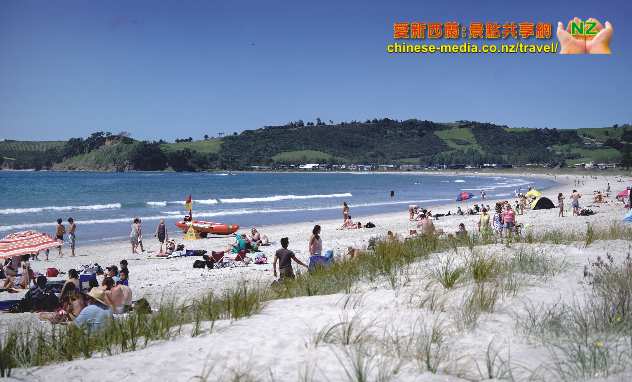 Matakana 馬塔卡納鎮 Omaha Beach 奧馬哈沙灘