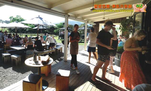 Matakana Sawmill Brewery 鋸木廠啤酒廠餐廳 試生啤