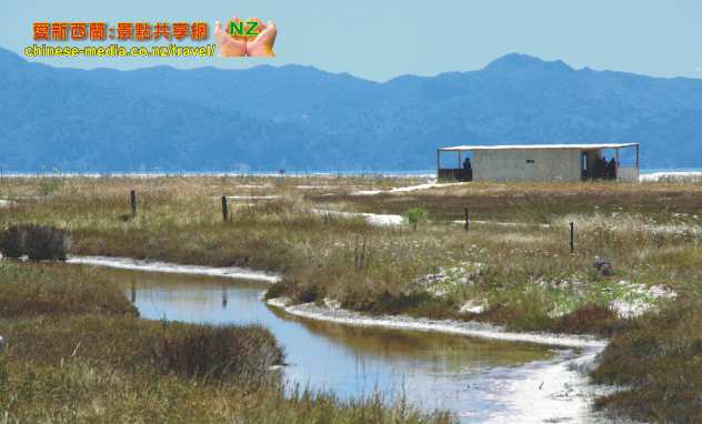 Miranda Shorebird Centre 米蘭達海鳥中心  Rober Findlay Wildlife Area Bird watching house 觀鳥屋
