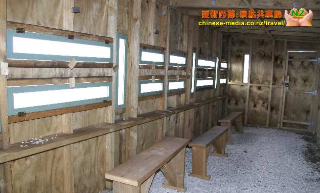 Miranda Shorebird Centre 米蘭達海鳥中心  Rober Findlay Wildlife Area Bird watching house 觀鳥屋