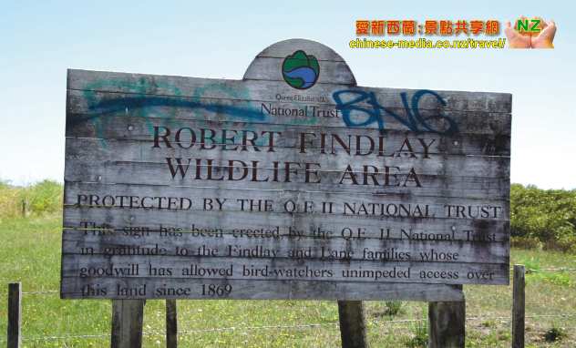 Miranda Shorebird Centre 米蘭達海鳥中心  Rober Findlay Wildlife Area Bird watching house 觀鳥屋