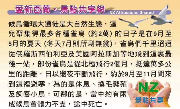 Miranda Shorebird Centre 米蘭達海鳥中心  Rober Findlay Wildlife Area Bird watching house 觀鳥屋