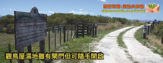 Miranda Shorebird Centre 米蘭達海鳥中心  Rober Findlay Wildlife Area Bird watching house 觀鳥屋