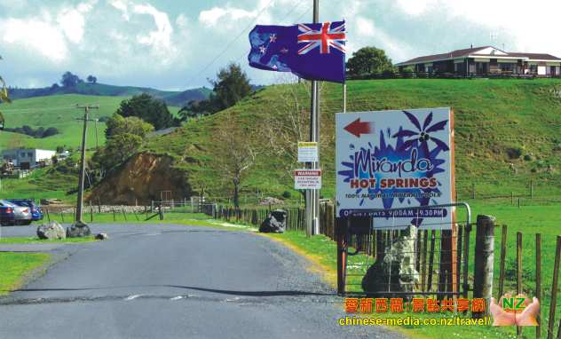 Miranda Hot Springs 米蘭達溫泉 100%天然礦物 Shorebird Centre 荒觀鳥附近 