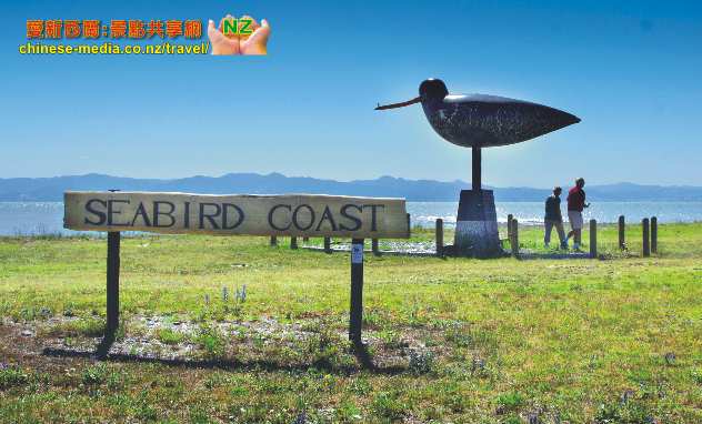 Miranda Seabird Coast Shorebird Centre 米蘭達海鳥中心 觀鳥