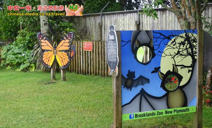 New Plymouth Pukekura 公園 Brooklands Zoo 博格蘭斯動物園
