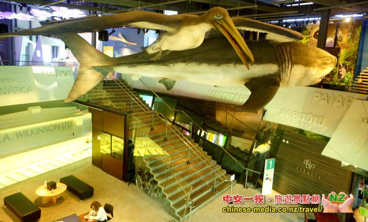 New Plymouth vistor information centre Puke Ariki 普克阿利基旅遊資訊中心