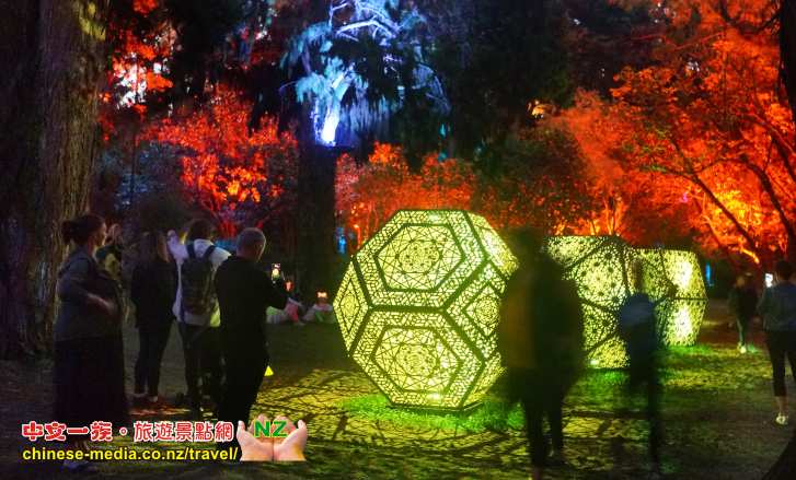 New Plymouth  新普利茅斯 Pukekura Park 普克庫拉公園 Festival of Lights 燈影祭