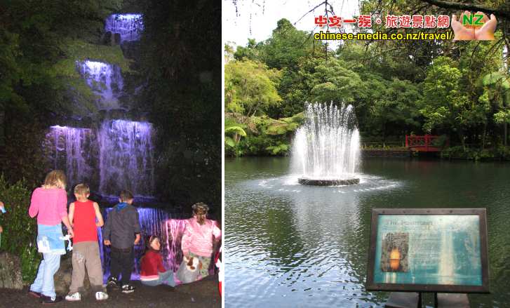 New Plymouth  新普利茅斯 Pukekura Park 普克庫拉公園 Festival of Lights 燈影祭