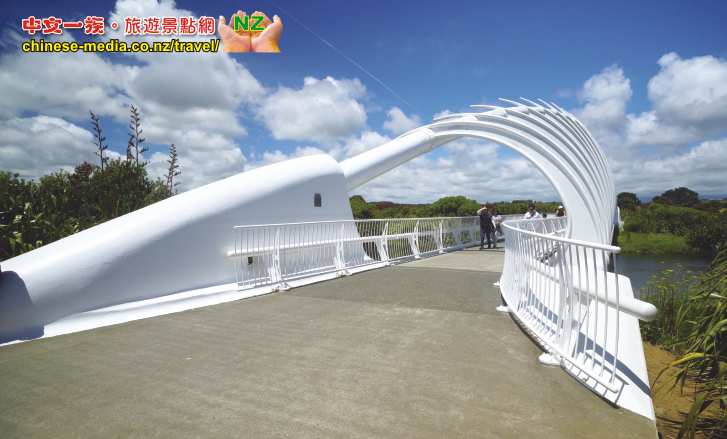 New Plymouth Coastal Walkway Musket Wars 滑膛步槍戰爭 Te Rewa Rewa Bridge 特雷瓦雷瓦橋 Lake Rotomanu