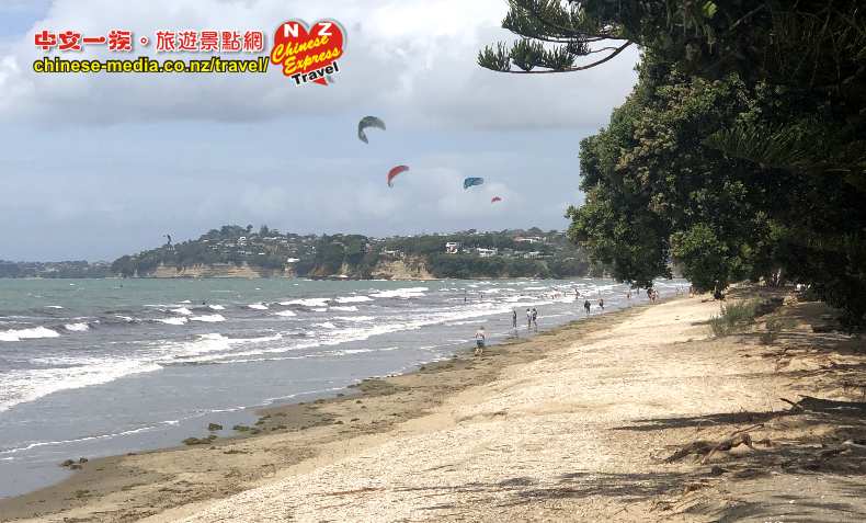 Orewa Beach 奧雷瓦海灘 人造沙灘 救生員 兒童遊樂場 燒烤野餐