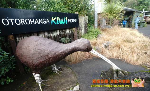 Otorohange 奧托羅昂格鎮 Kiwi House 奇異鳥館 Waitomo