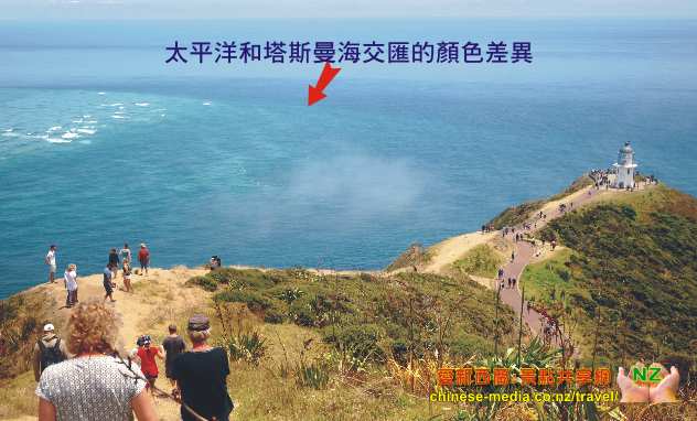 Paihia Cape Reinga Lighthouse 雷因格角燈塔