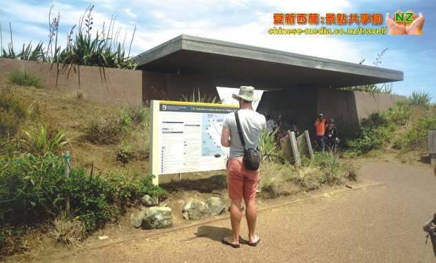 Paihia Cape Reinga Lighthouse 雷因格角燈塔